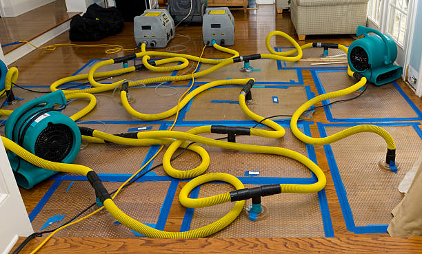 Professional Storm Water Damage Restoration technician working in Gretna, FL